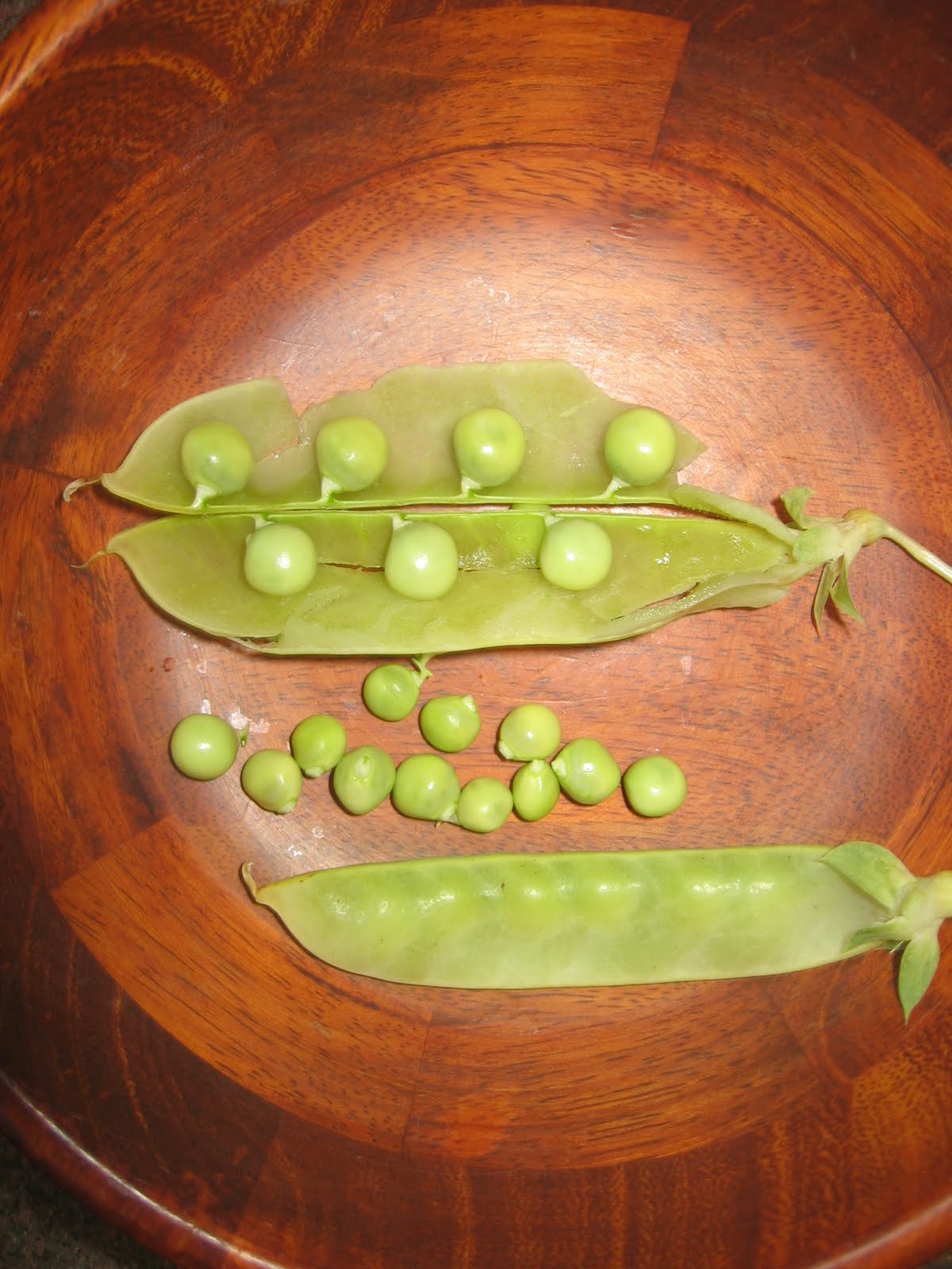BB's Bountiful Backyard Pea Harvest Golden Sweet