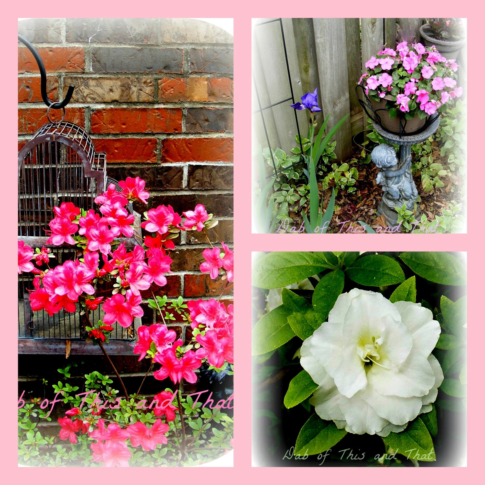 Dab of This and That Spring Blooms...