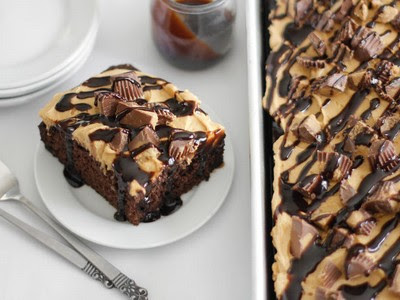 chocolate peanut butter bundt cake using cake mix