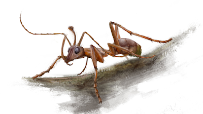 Мравка-еднорог на 99 милиона години Sn%2Bshot-hornedant