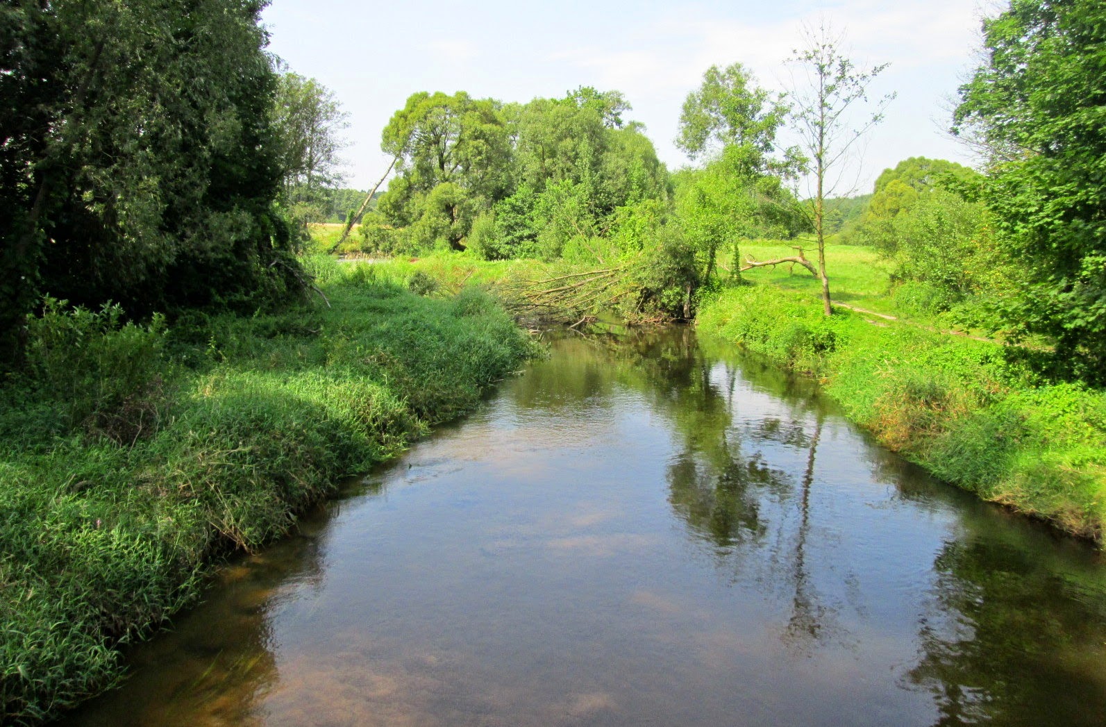 Mr SCOTT jedzie do... (-:: WYCIECZKA Nr 272 - Stara Rawa, Jeruzal i Raducz