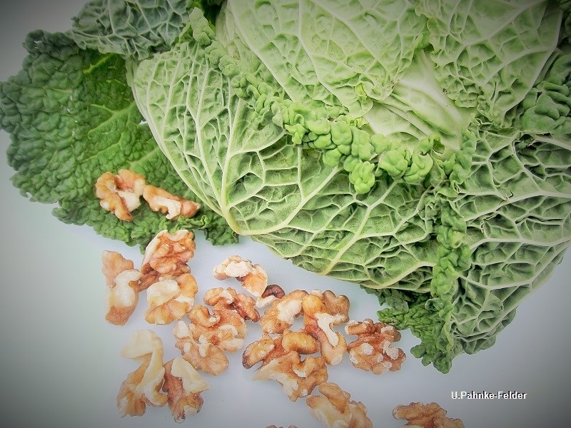 Vermicelli mit Wirsing und Schinken