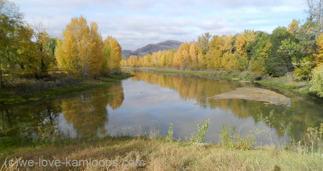 The colored leaves are reflected in the river on McArthur Island 