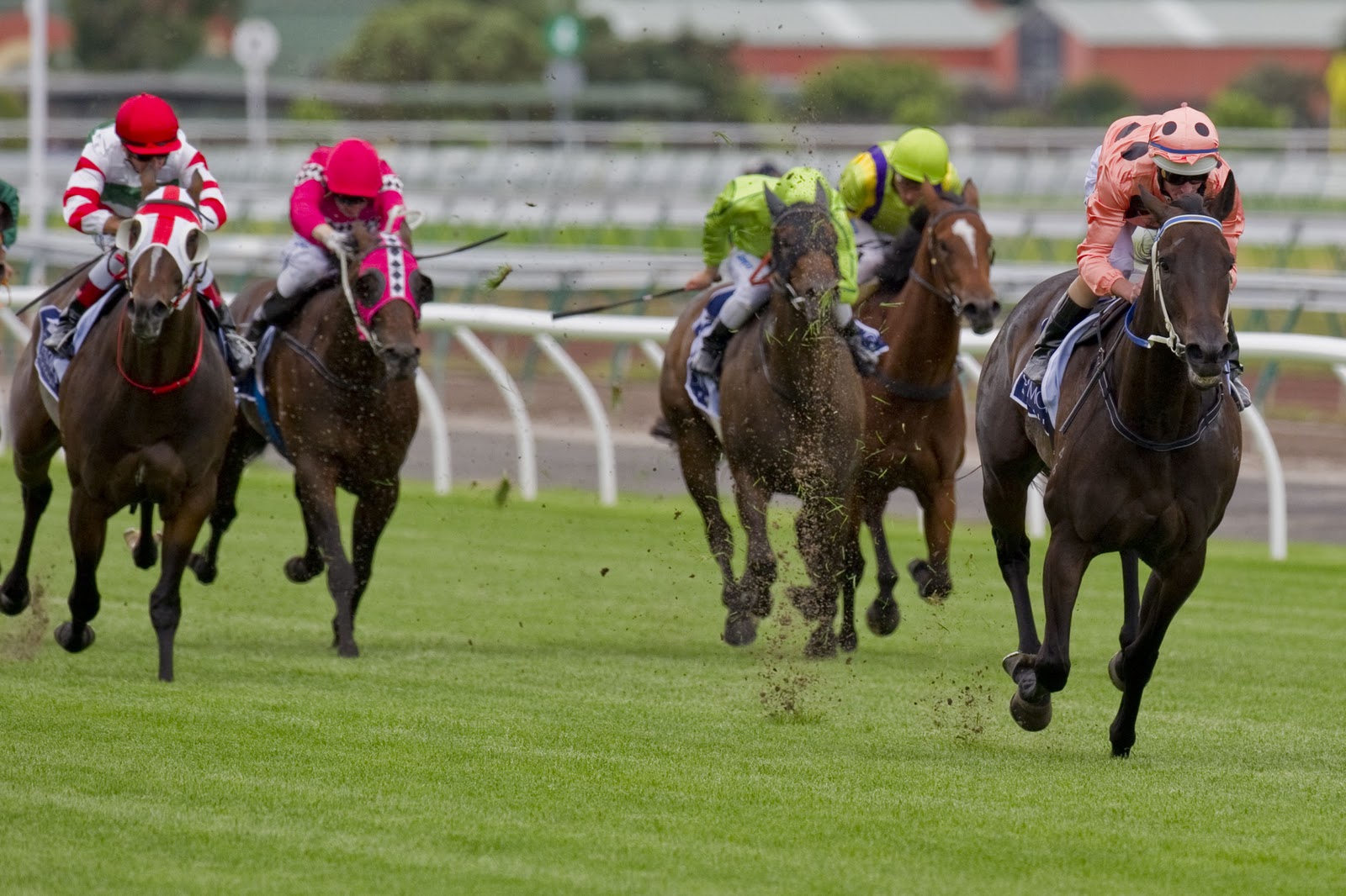 BlackCaviar-NolenLuke-02192011-DSC_3762.jpg