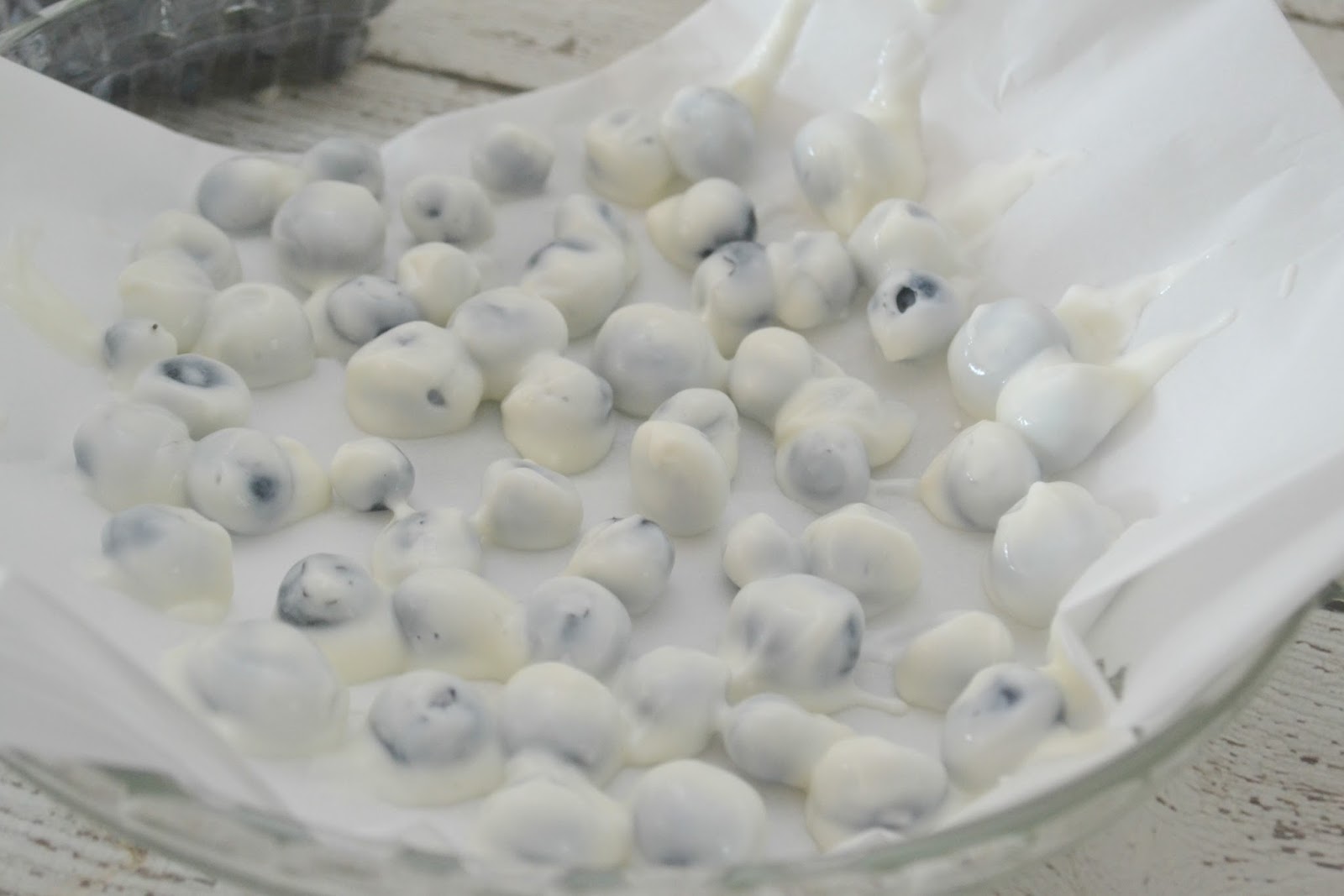 Frozen Yogurt Covered Blueberries Building Our Story