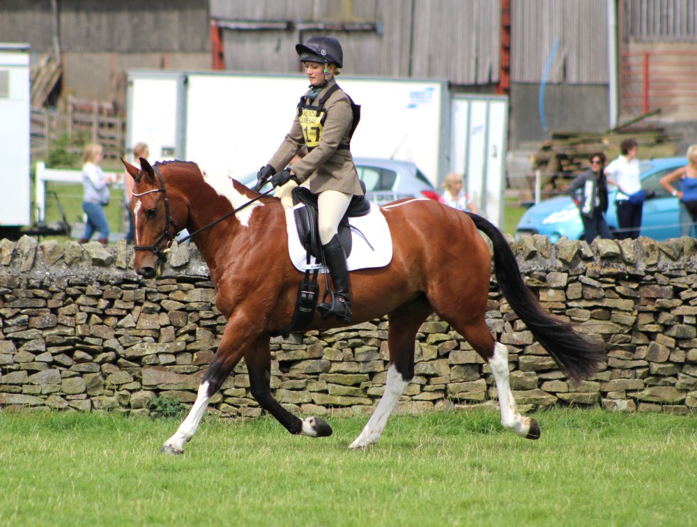 KB Equestrian Competition Report Skipton (2)
