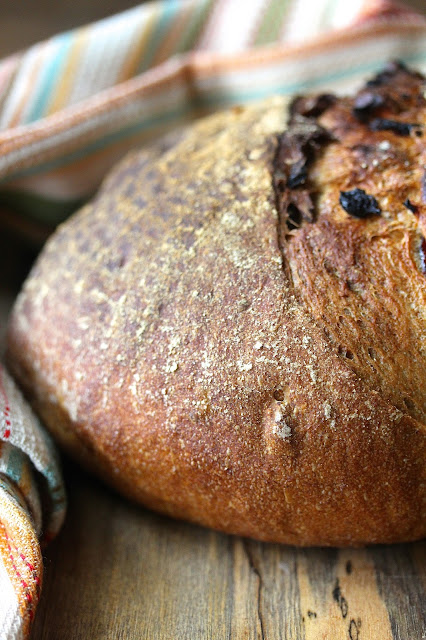 Cranberry, Walnut, and Pecan Rye Bread