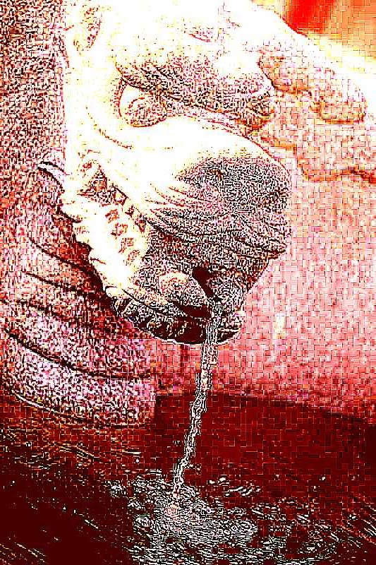 구례 화엄사 구례 화엄사