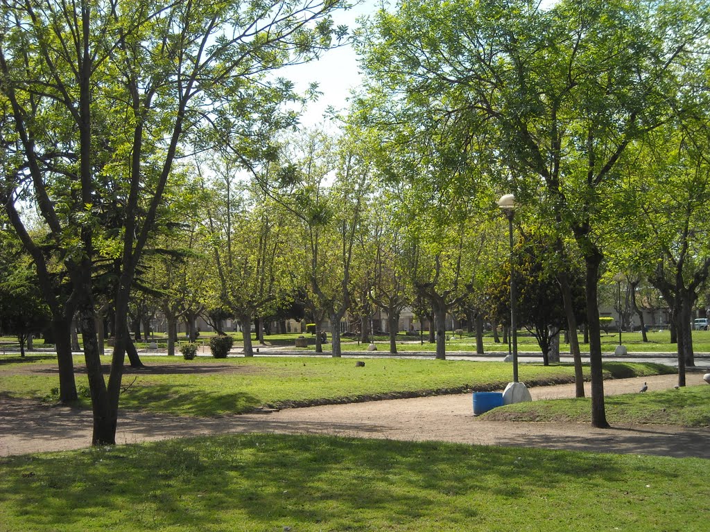 Fotos Viejas de Mar del Plata PLAZA PUEYRREDON