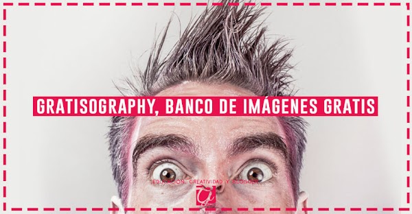 Gratisography, un banco de imágenes fundado por Ryan McGuire. Gratisography, un banco de imágenes fundado por Ryan McGuire.