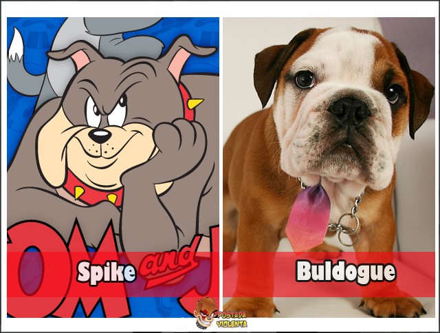 Raça do Spike Tom e Jerry Buldogue