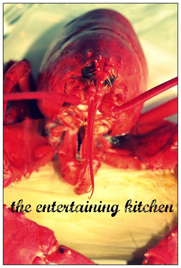 the entertaining kitchen