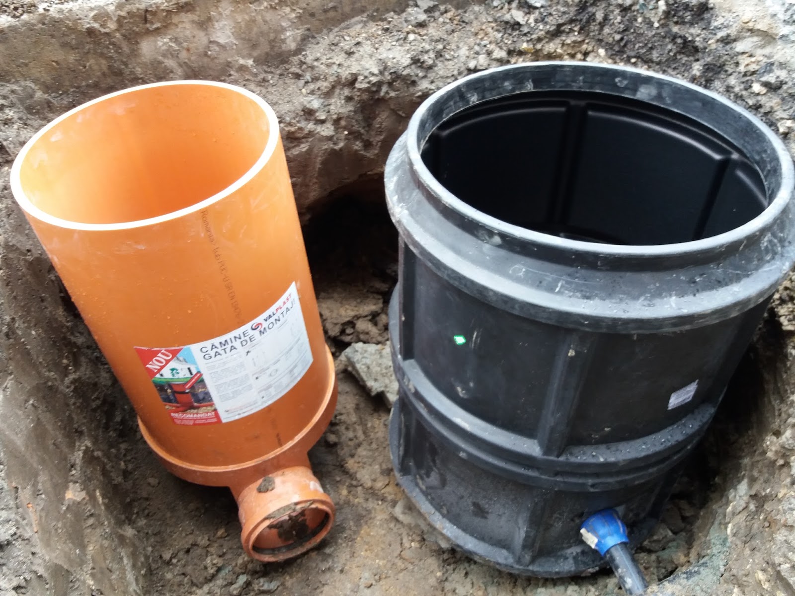 Bransari apa raja constanta.