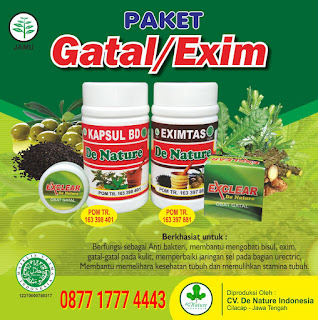 obat gatal obat gatal