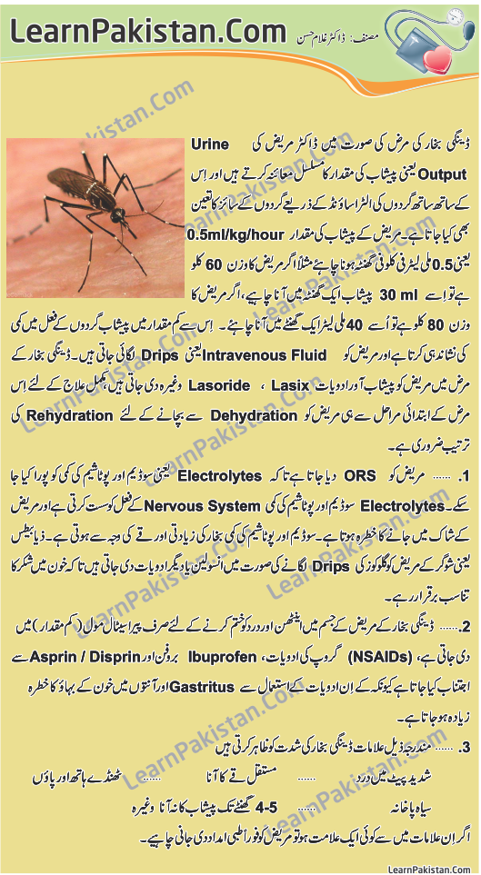Essay on dengue
