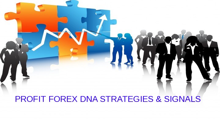 Forex nitty gritty pdf