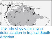 https://sciencythoughts.blogspot.com/2015/02/the-role-of-gold-mining-in.html