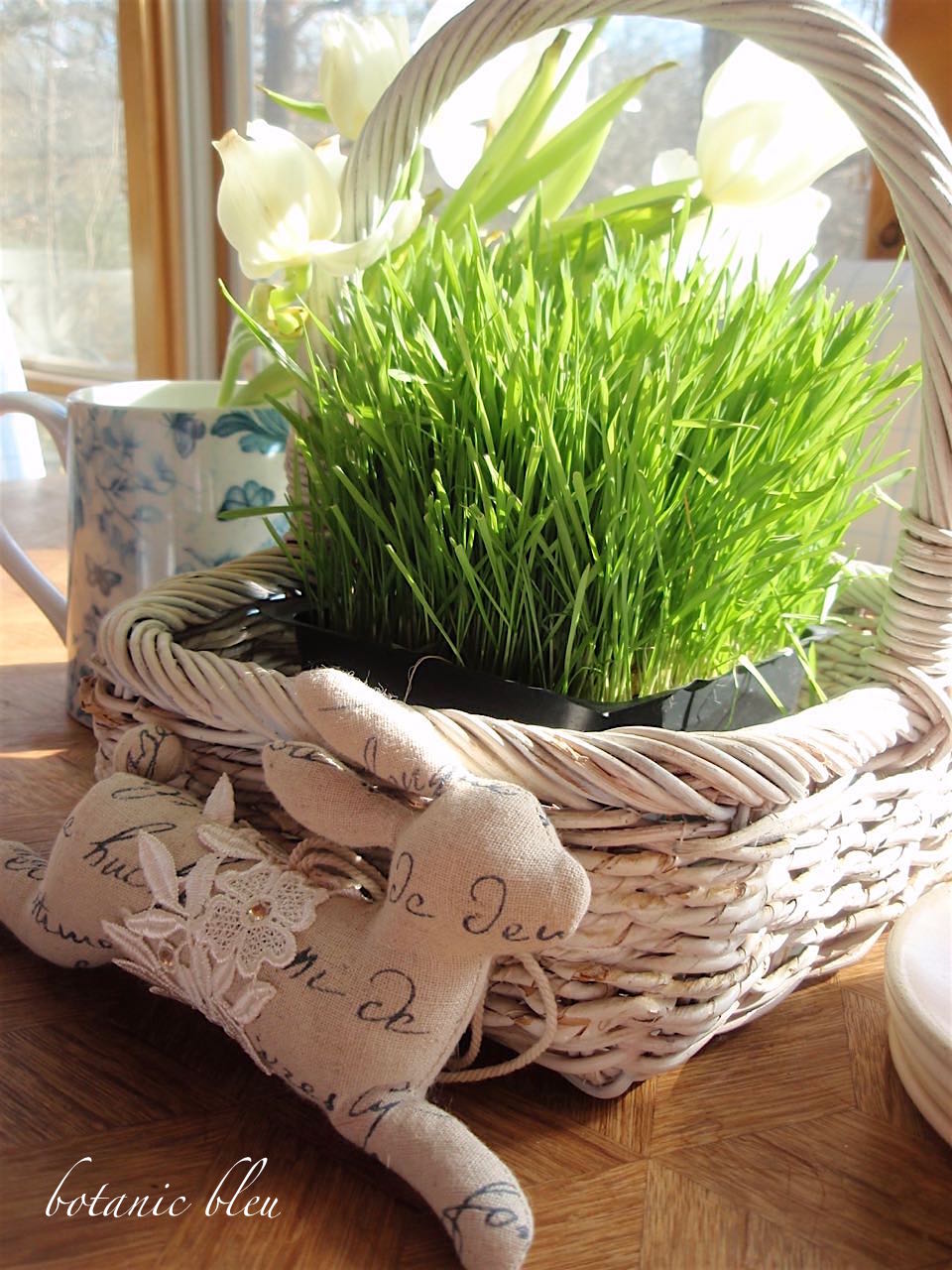 How to Make a Wheatgrass Easter Basket