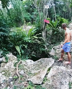 GIF.gif
