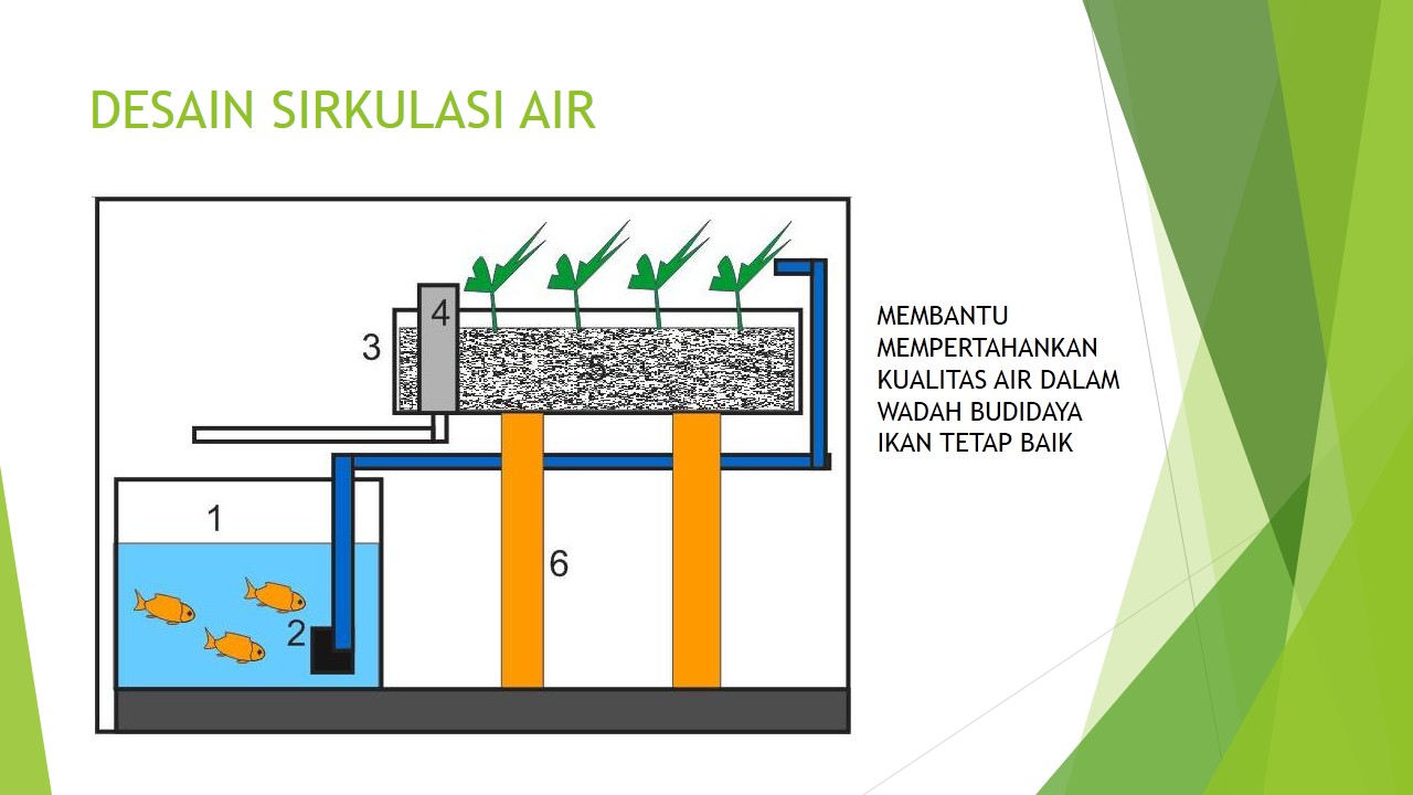 Desain Efisien untuk Wadah Budidaya