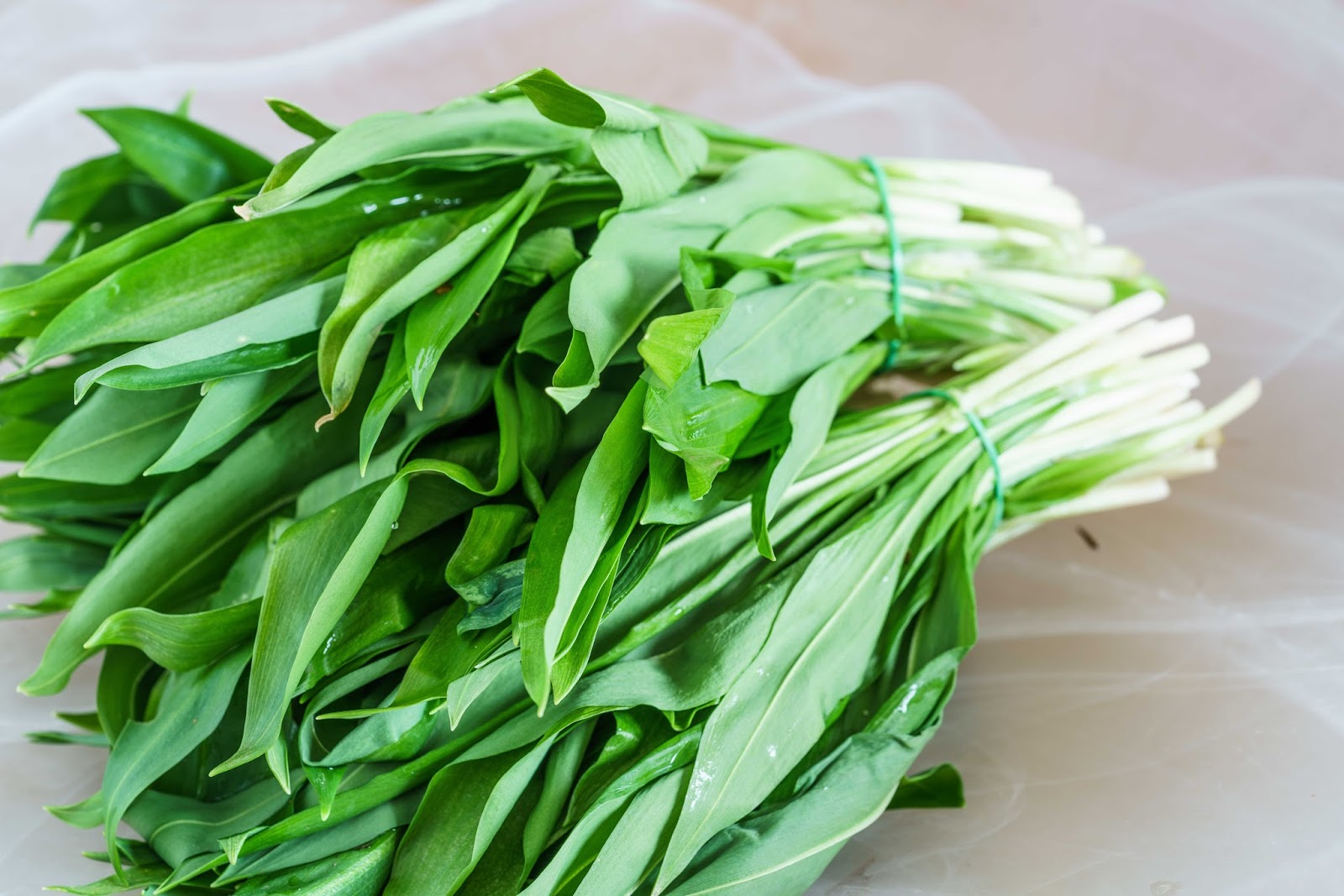 stuttgartcooking: Allgäuer Käsespätzle mit 4 Käsesorten stuttgartcooking: Allgäuer Käsespätzle mit 4 Käsesorten