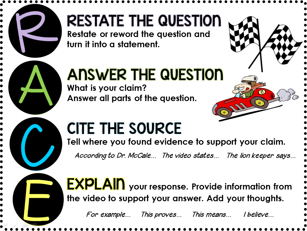 Video Response Lion Pride