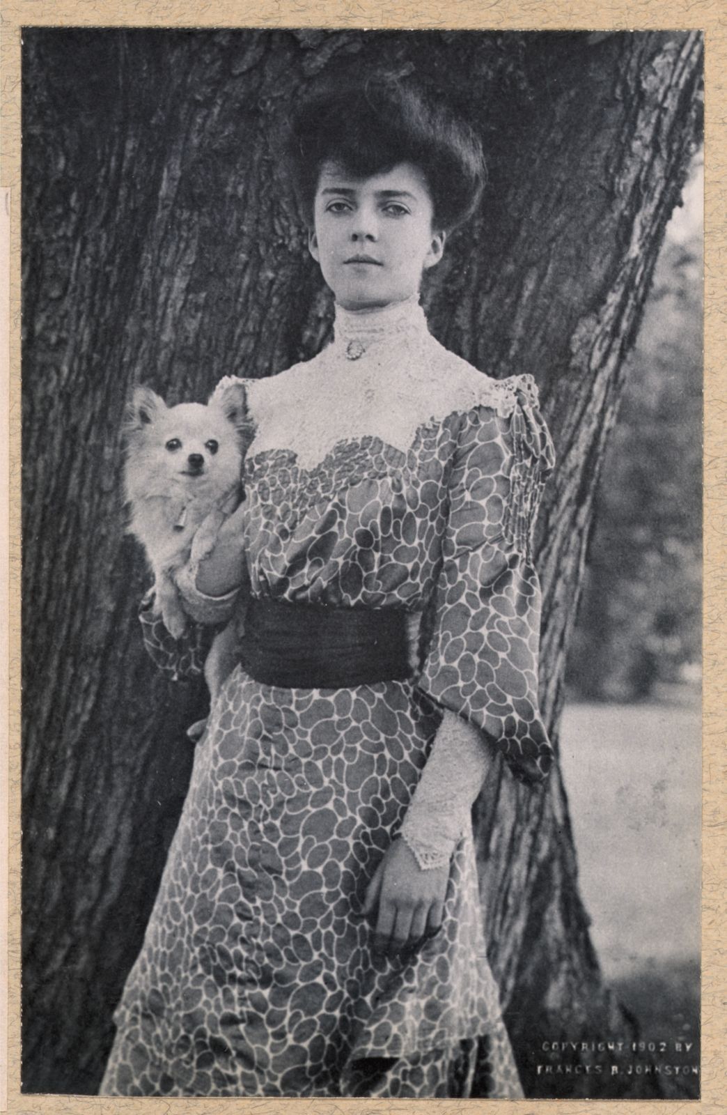 Pine Knoll Shores History: 1977 Shore Line