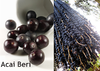 acai beri diet sehat alami acai beri diet sehat alami