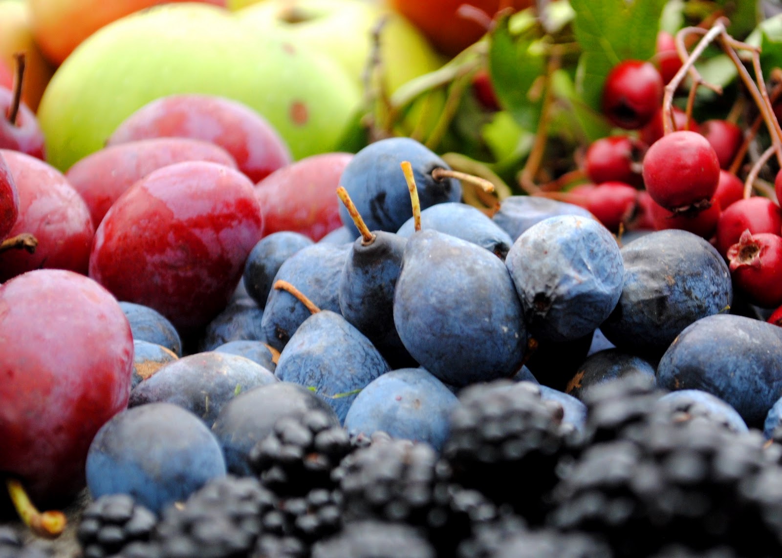 In a village called Segur le Chateau.... Damson bread and butter pudding