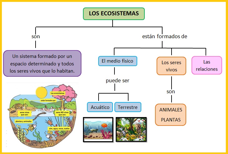 Ud 4 Los Ecosistemas Daniel Granados Pulido Educamadrid