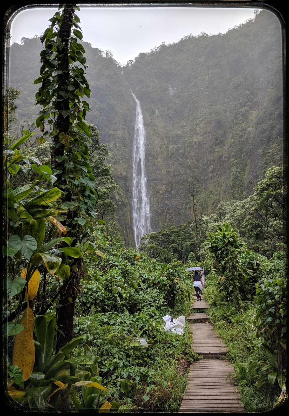 Pipiwai Trail Waimoku Falls Maui, Hawaii in 360 Degrees