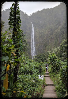 Our Rainy Hike to Waimoku Falls Our Rainy Hike to Waimoku Falls