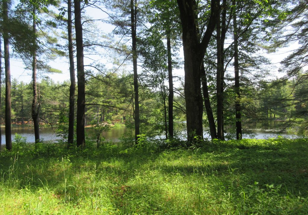 Windswept Adventure Brasher State Forest, The Walter Pratt Camping And
