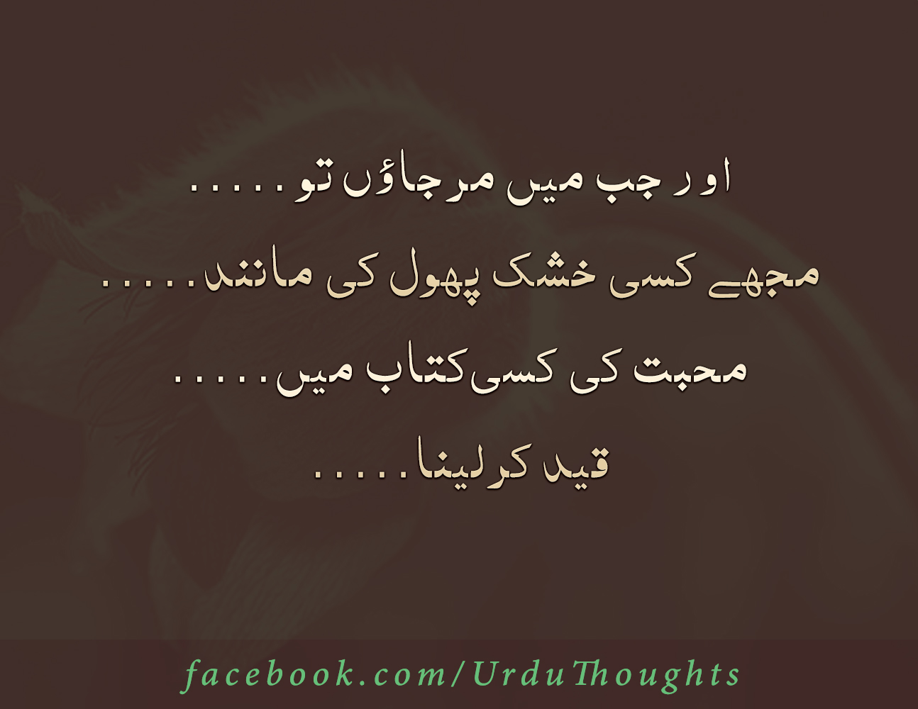 In urdu