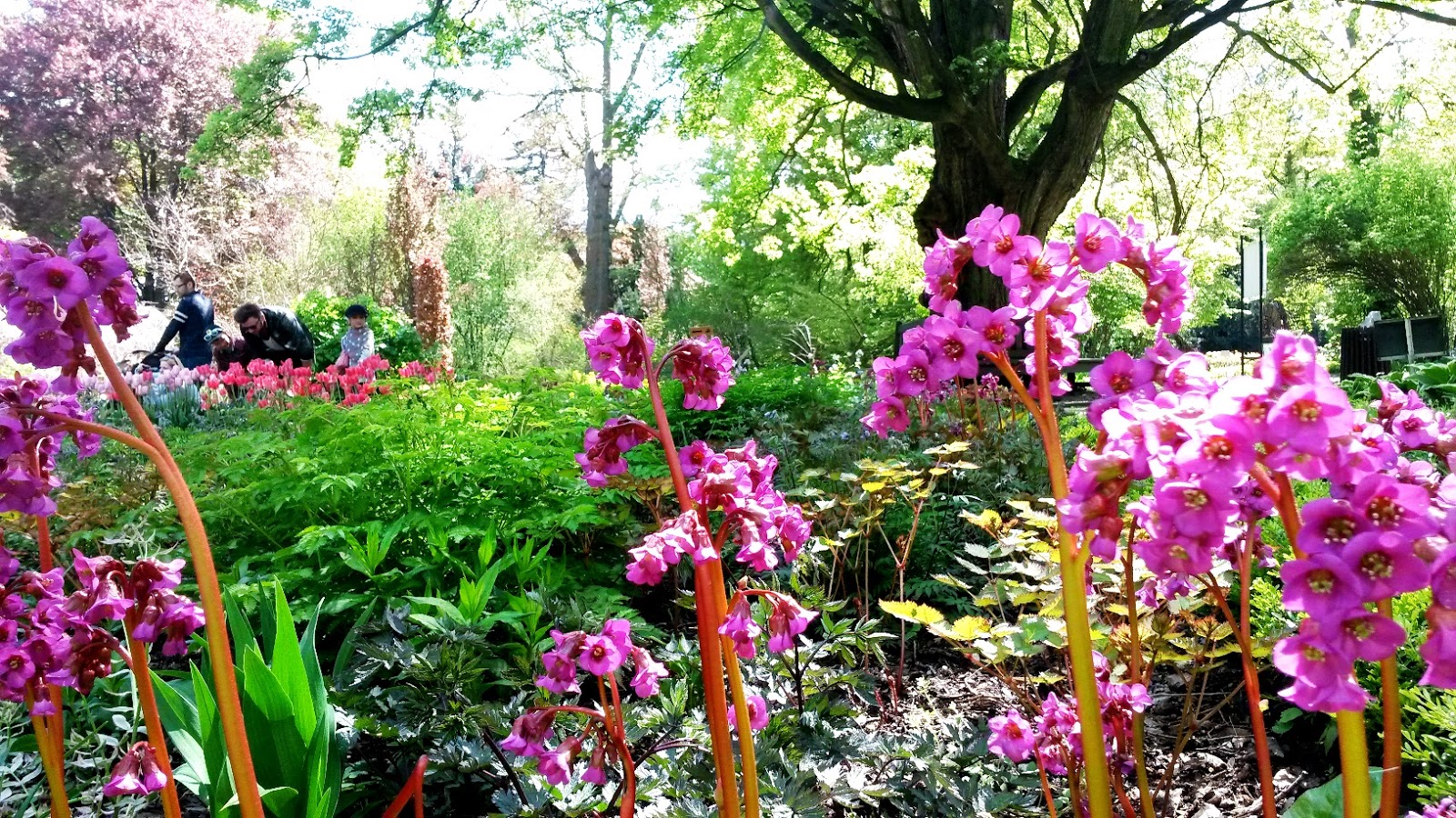 O Nasim Zbirkama Botanicki Vrt