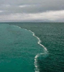 Biasanya pertemuan laut dengan laut akan menyatu padu Kebenaran Al-Qur'an, Dua Laut yang Tidak Pernah Menyatu