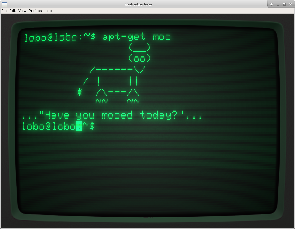 Cool term. Linux terminal gif. Old terminal. Cool retro term. Cool term.