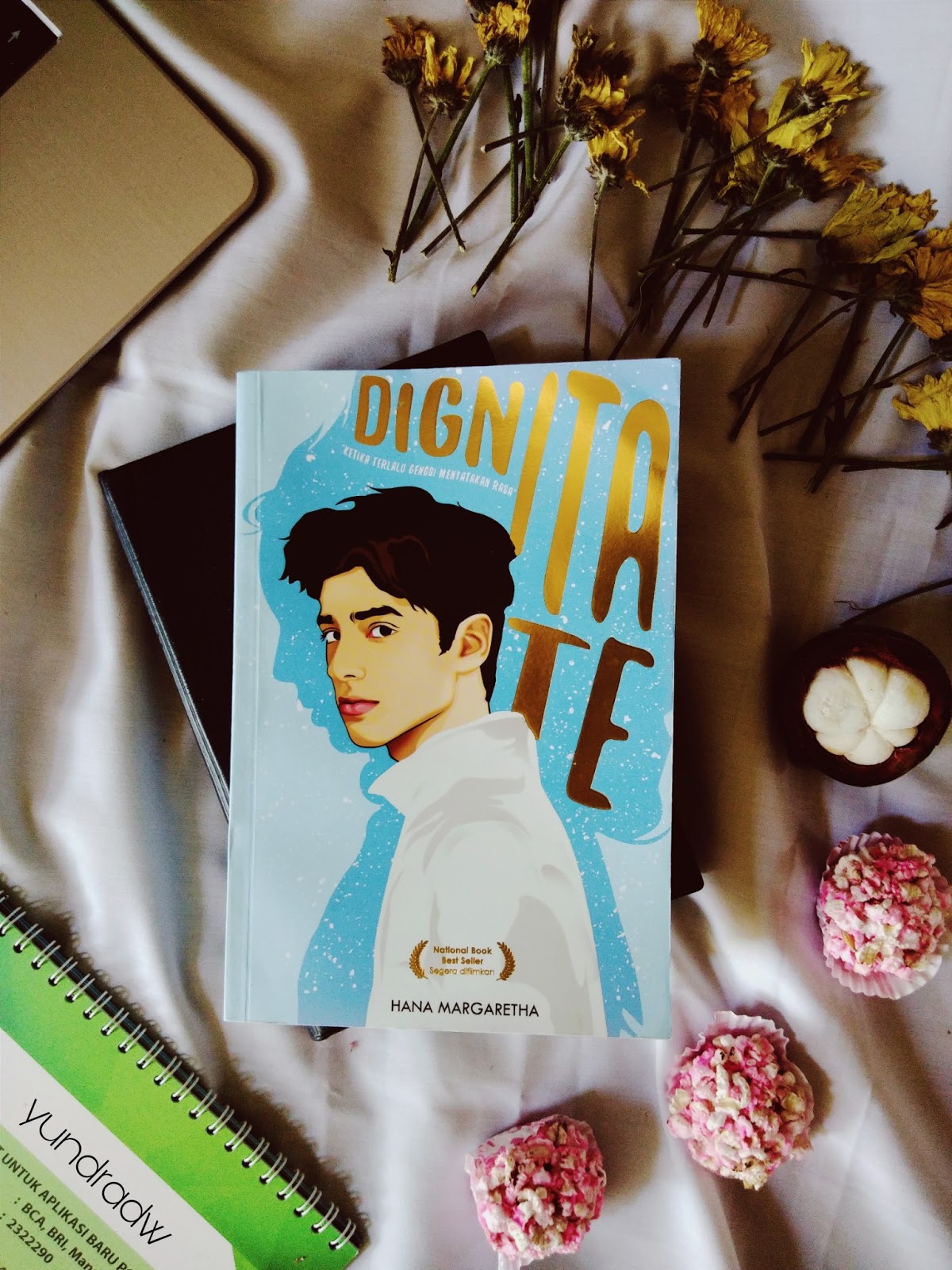 Review Novel Dignitate