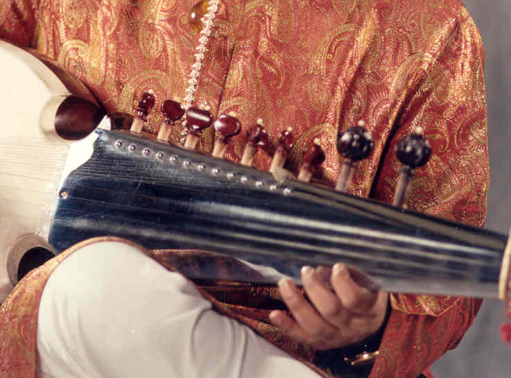 Music Lessons Online Learn Playing Sarod Online