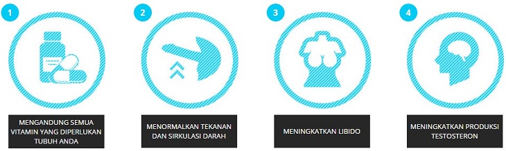 Cara kerja HAMMER OF THOR Cara kerja HAMMER OF THOR