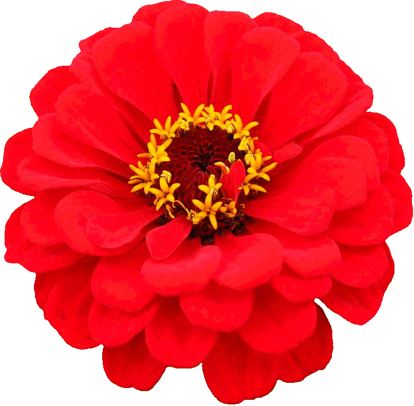 My Image 3