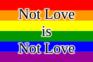 People are using the term "love is love". This is simplistic nonsense. We can take it to its logical conclusion.