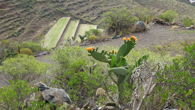 descending to la hoya, tenerife