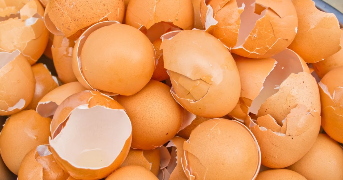 This is why you start eating eggshells. Thika Town Today 3T