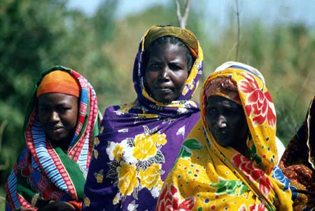 Women of Niger Africa