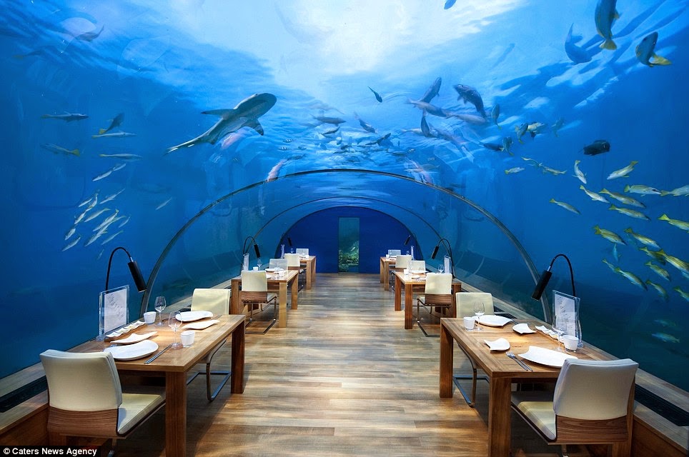 The restaurant is also open for mid-morning cocktails and can be booked privately for breakfast, weddings or other special occasions. - The “Most Beautiful Restaurant In The World” Is Downright Mind-Blowing. The restaurant is also open for mid-morning cocktails and can be booked privately for breakfast, weddings or other special occasions. - The “Most Beautiful Restaurant In The World” Is Downright Mind-Blowing.