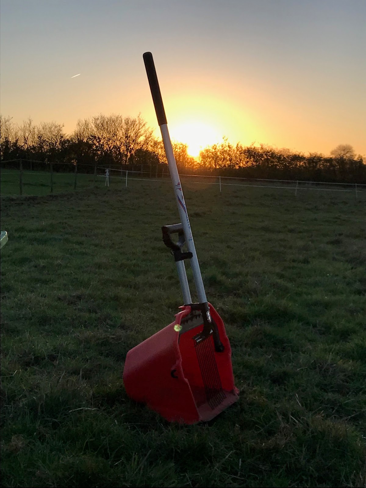 The Adventures of an Amateur Equestrian Quick Pick Equine Poo Picking