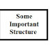 Some Important Structure