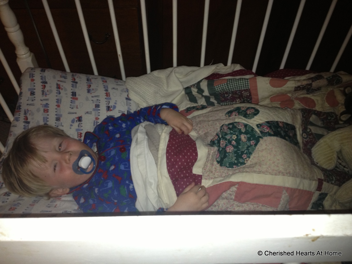 Precious little one cot bed cheap
