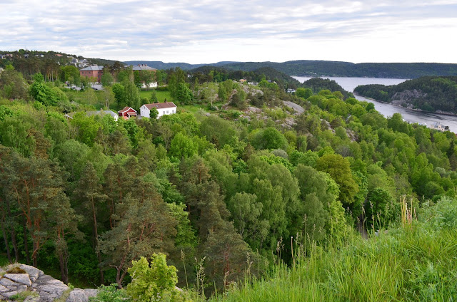 DSC_0198.JPG